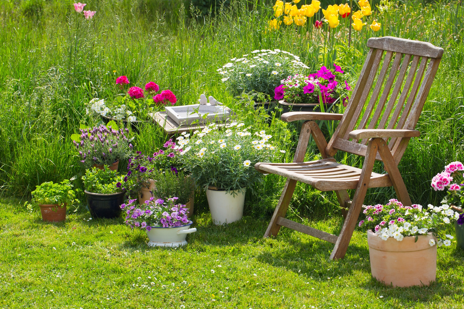 Bunte Blumentöpfe neben Gartenstuhl | Poolüberdachung
