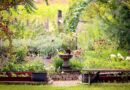 Vogelbad im blühenden Naturgarten mit Sitzbank, Bepflanzung und Vogelbesuch