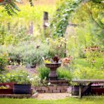 Vogelbad im blühenden Naturgarten mit Sitzbank, Bepflanzung und Vogelbesuch